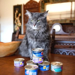 Pet Supplies